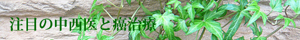 注目の中西医と癌治療